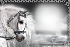 Фотоэффект онлайн - С лошадью