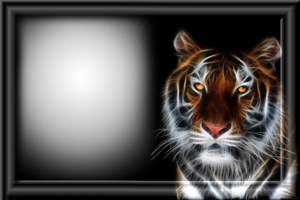 Фотоэффект – Неоновый тигр