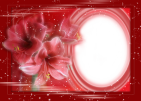 Рамка с цветами – Красные лилии