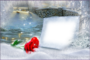 Зимняя рамка - Роза в снегу