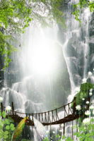 Фотоэффект – Водопад и павлины