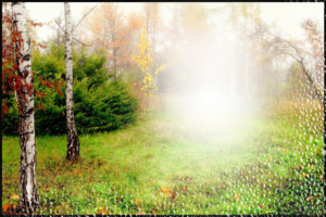 Фотоэффект - Осенняя полянка