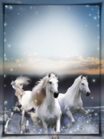 Фотоэффект - Тройка белых лошадей