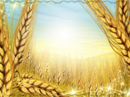Фотоэффект в пшеничном поле