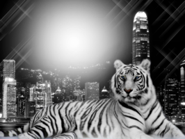 Фотоэффект с белым тигром