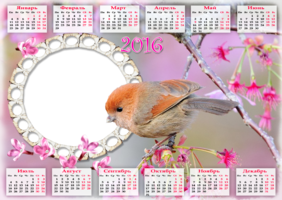 Календарь онлайн – С птенчиком