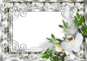 Рамка - Белая орхидея