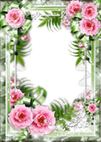 Цветочная рамка – Чайная роза