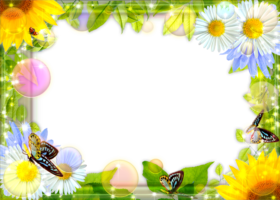 Рамка с летними цветами