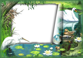 Фотоэффект - Лебеди на пруду