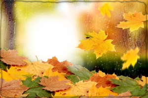 Фотоэффект - Осенний лист