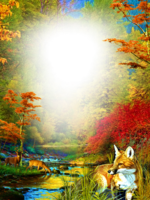 Фотоэффект - Осенний лес