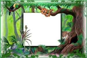 Детская рамка - Зов джунглей