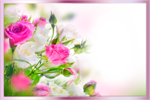 Цветочный фотоэффект - Букет роз