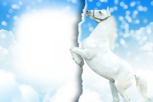 Фотоэффект - Белая лошадь