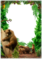 Фоторамка - медведи в лесу