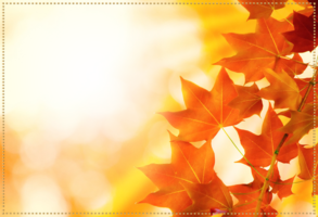 Онлайн фотоэффект - Золотая осень