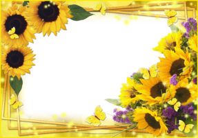Фоторамка – Цветы солнца